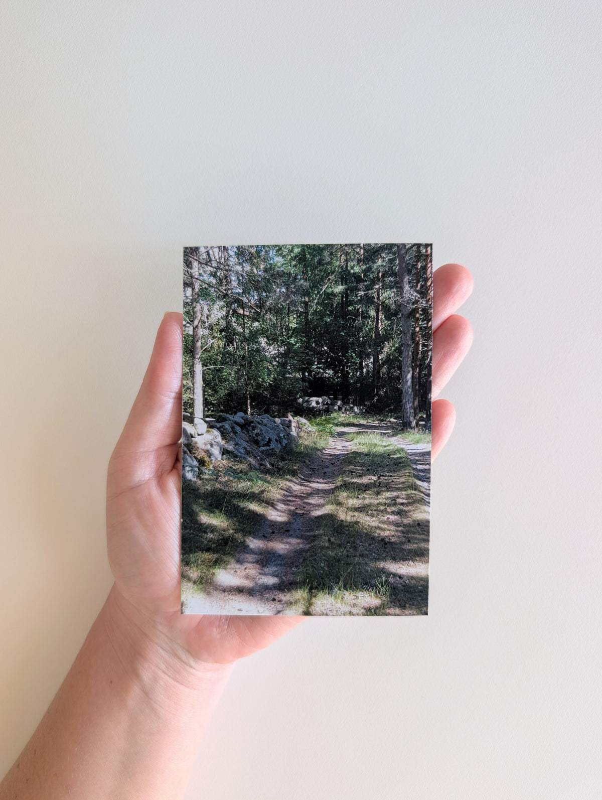 Magnetic Photo Galleries