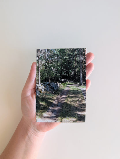 Magnetic Photo Galleries