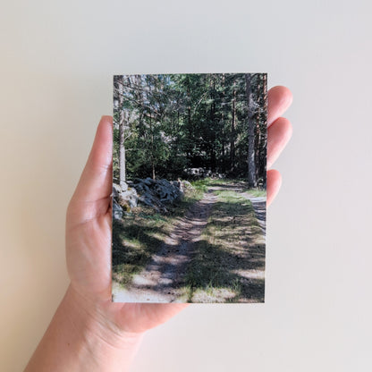 x1 SIGNATURE Photo Magnet