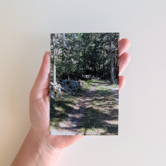 x1 SIGNATURE Photo Magnet