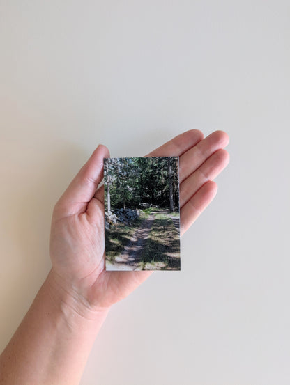 Magnetic Photo Galleries