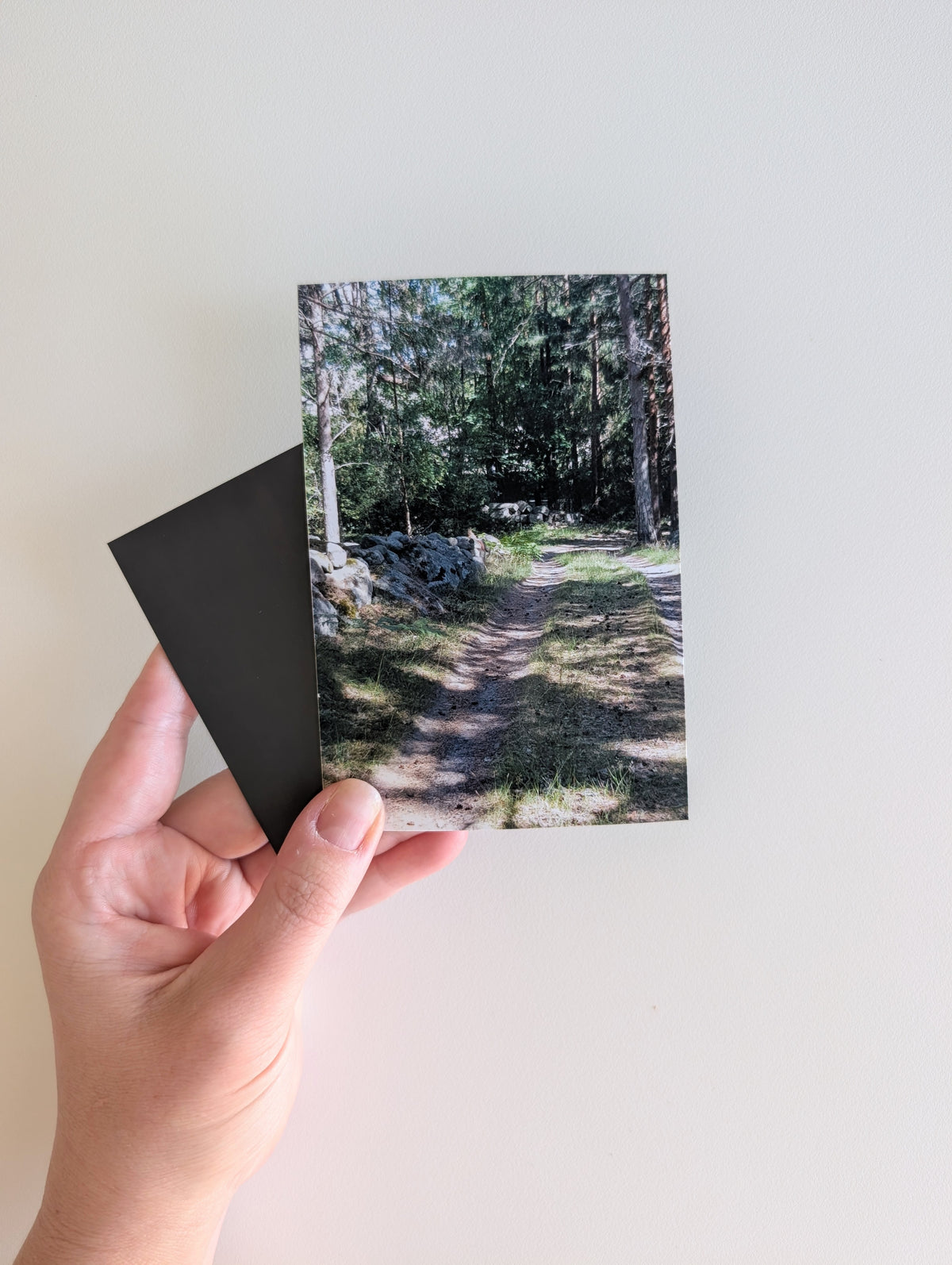 Magnetic Photo Galleries